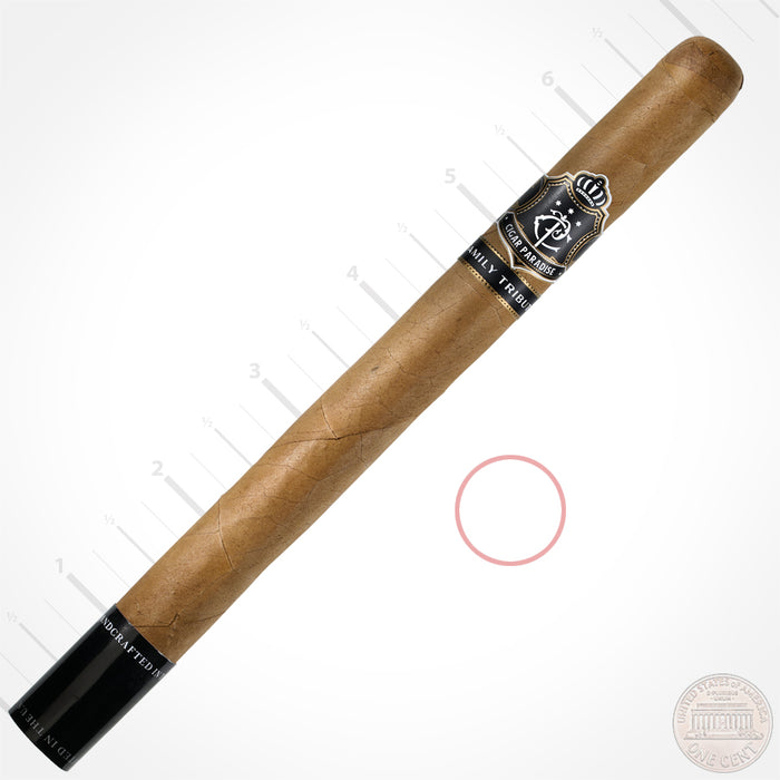 Family Tribute Connecticut Laguito