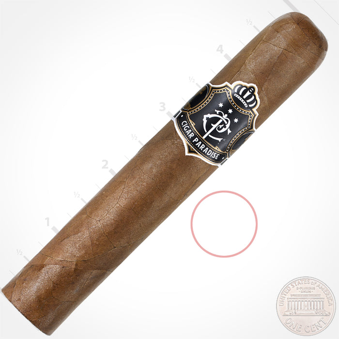 Cigar Paradise Habano Robusto 50x5 hand-rolled cigar