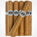 New Generation Connecticut Sweet Tip Robusto 50×5 bundle of 25 house blend cigars with Connecticut wrappers and cigar bands