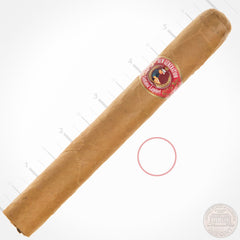 New Generation Connecticut Toro 50×6 house blend cigar with Connecticut wrapper and classic Toro shape