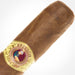 Cigar Paradise Treasure Habano Sweet Tip Big Daddy 60x6.5 house blend cigar close-up showing Habano wrapper and cigar band.