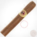 Cigar Paradise Treasure Habano Sweet Tip Robusto 50x5 house blend cigar with Habano wrapper.