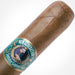 Cigar Paradise Treasure Rosado Regular Toro 50x6 house blend cigar close-up showing Habano Rosado wrapper and cigar band.